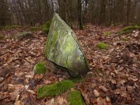 6  Saverne LE WASSERWALD 05 03 2017 25